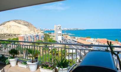 Resale - Penthouse - Alicante - Casco antiguo