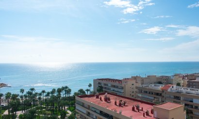 Revente - Appartement - Torrevieja - Playa de los Locos
