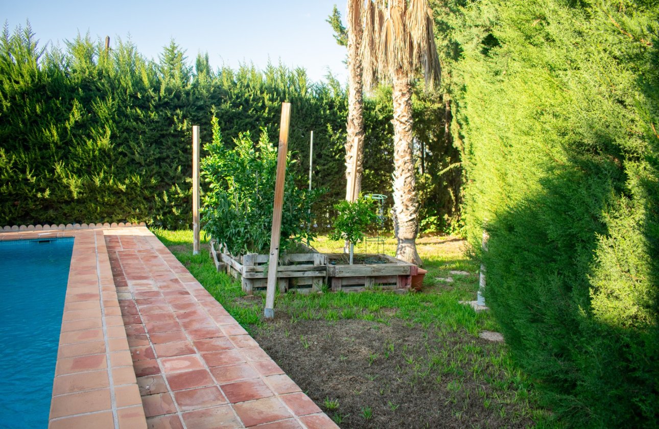 Revente - Villa - Molina De Segura - Torre de Cotillas