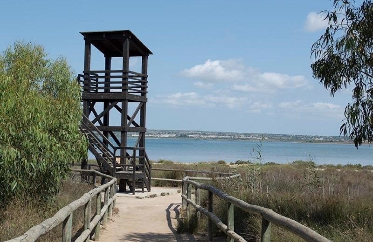 Reventa - Apartamento / piso - La Mata - La Mata - Town