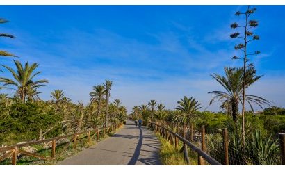 Resale - Villa - Guardamar del Segura - Guardamar Playa