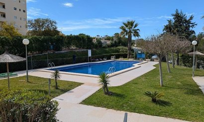 Reventa - Apartamento / piso - Torrevieja - Torreblanca