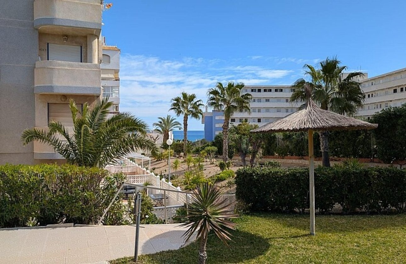 Reventa - Apartamento / piso - Torrevieja - Torreblanca