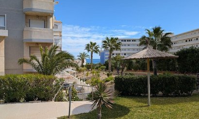 Reventa - Apartamento / piso - Torrevieja - Torreblanca