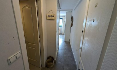 Reventa - Apartamento / piso - Torrevieja - Torreblanca