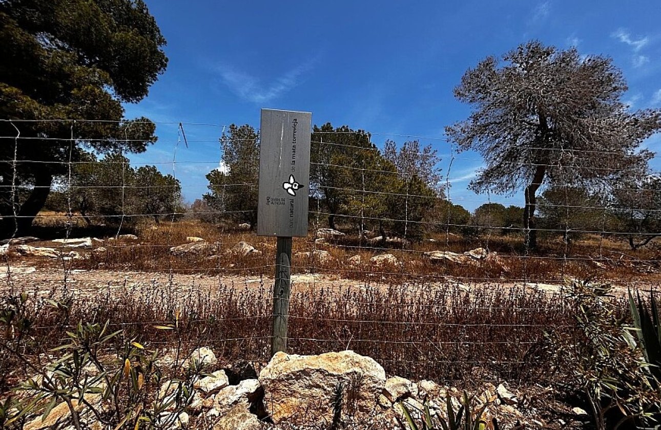 Resale - Townhouse - Torrevieja - La Siesta