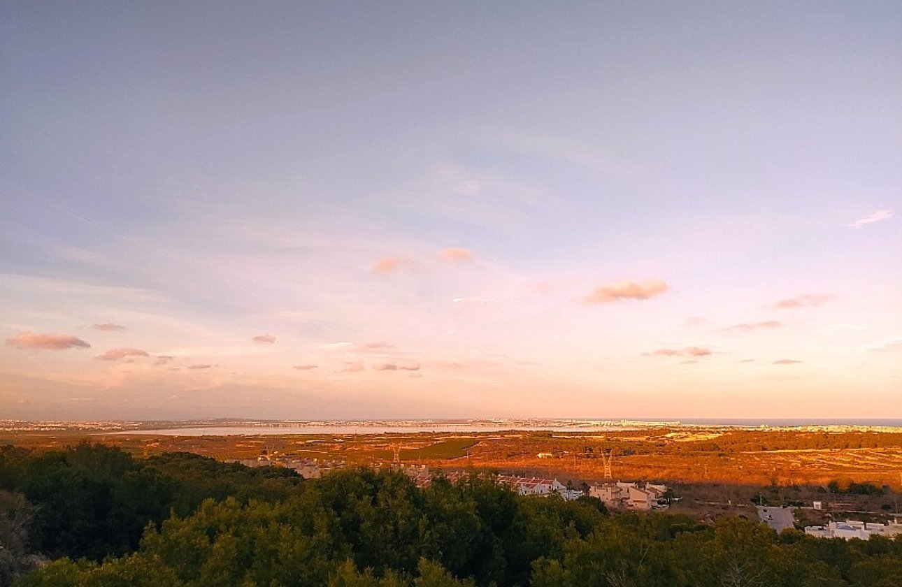 Resale - Villa - San Miguel de Salinas