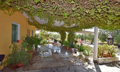 Resale - Villa - Albatera