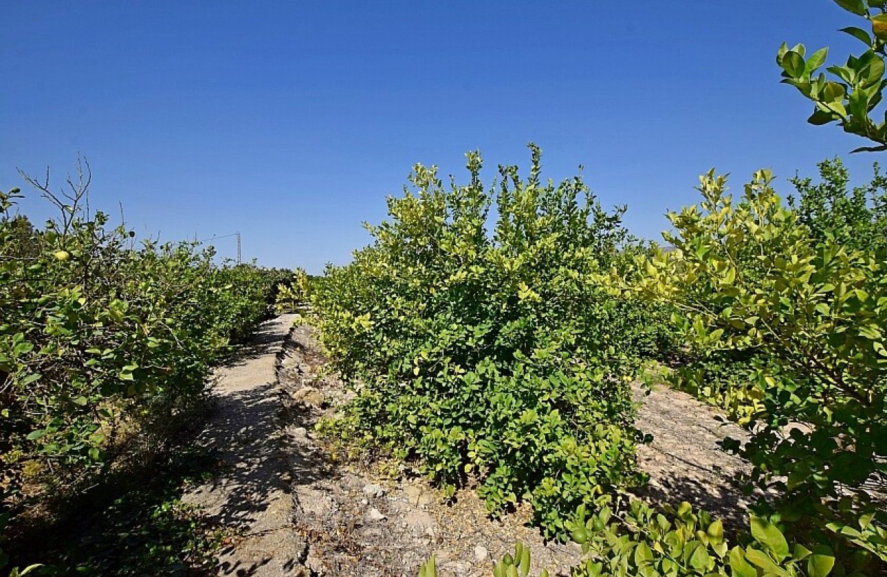 Resale - Villa - Albatera