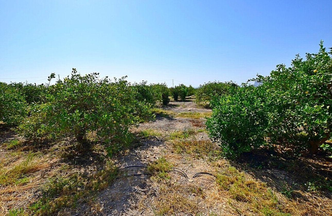 Resale - Villa - Albatera