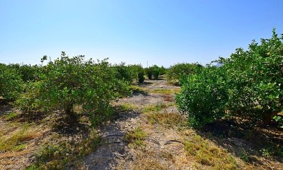 Resale - Villa - Albatera