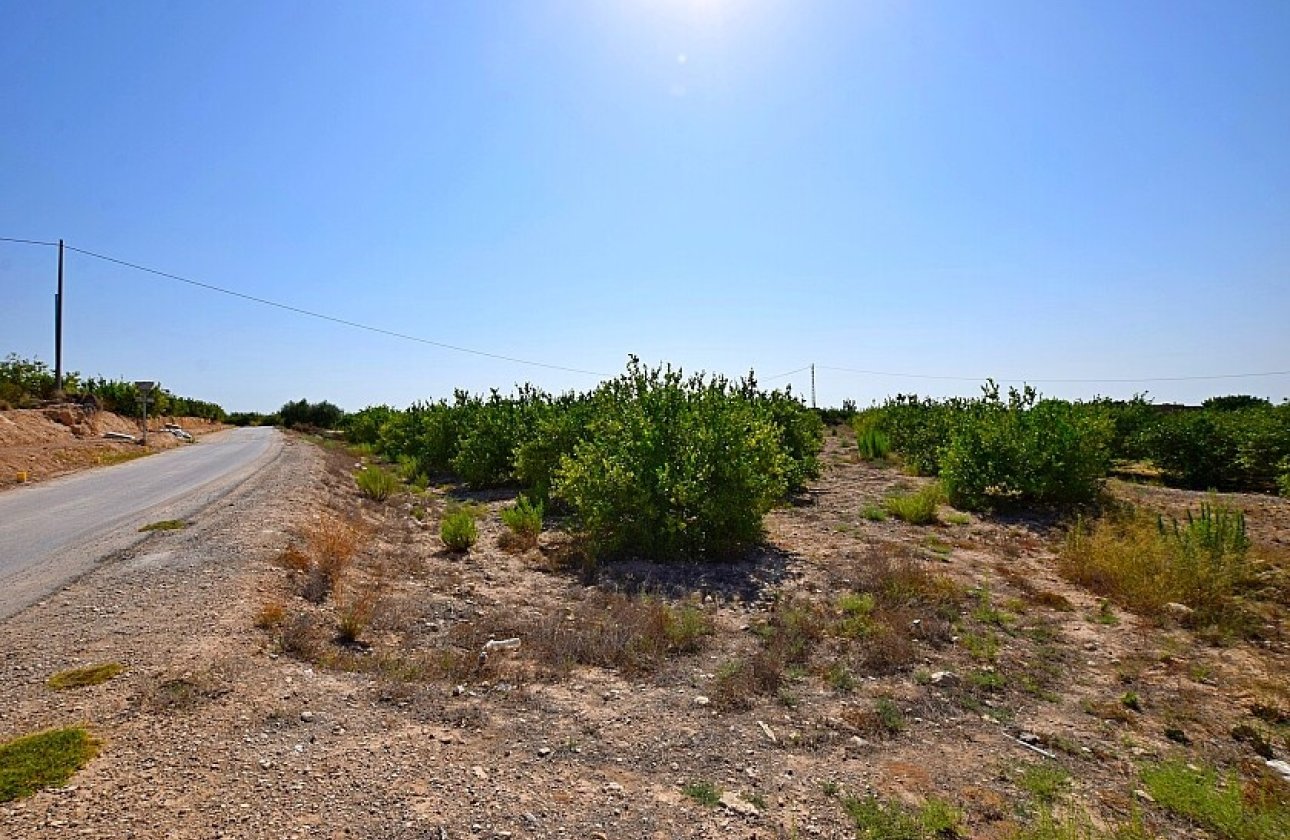 Resale - Villa - Albatera