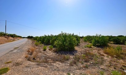 Resale - Villa - Albatera