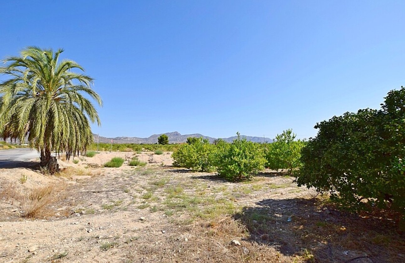 Resale - Villa - Albatera