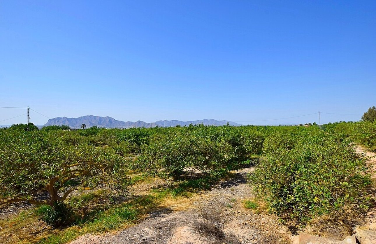 Resale - Villa - Albatera