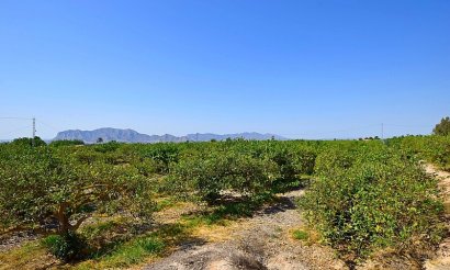 Resale - Villa - Albatera