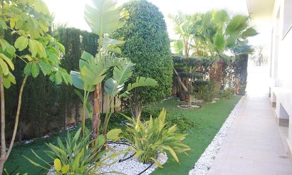 Revente - Villa - Orihuela Costa - La Zenia