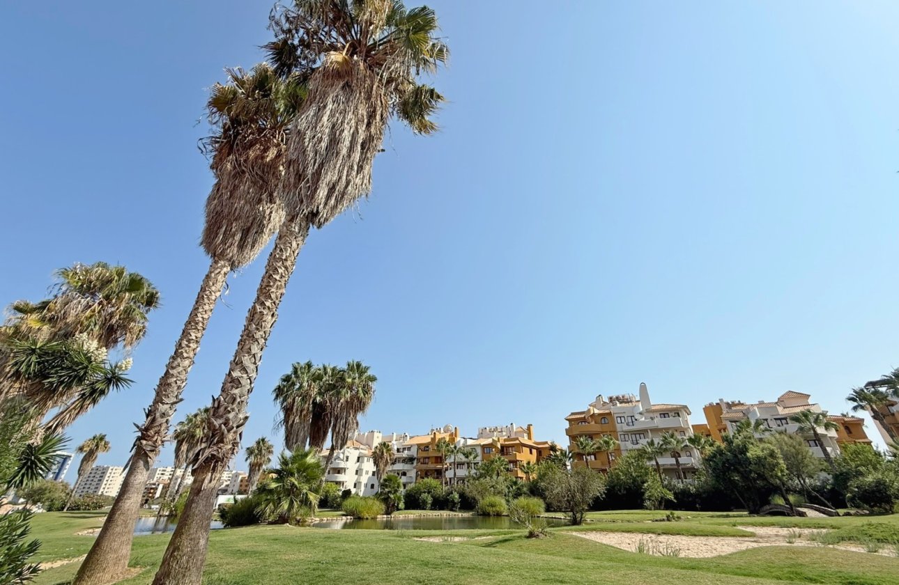 Resale - Penthouse - Torrevieja - Punta Prima