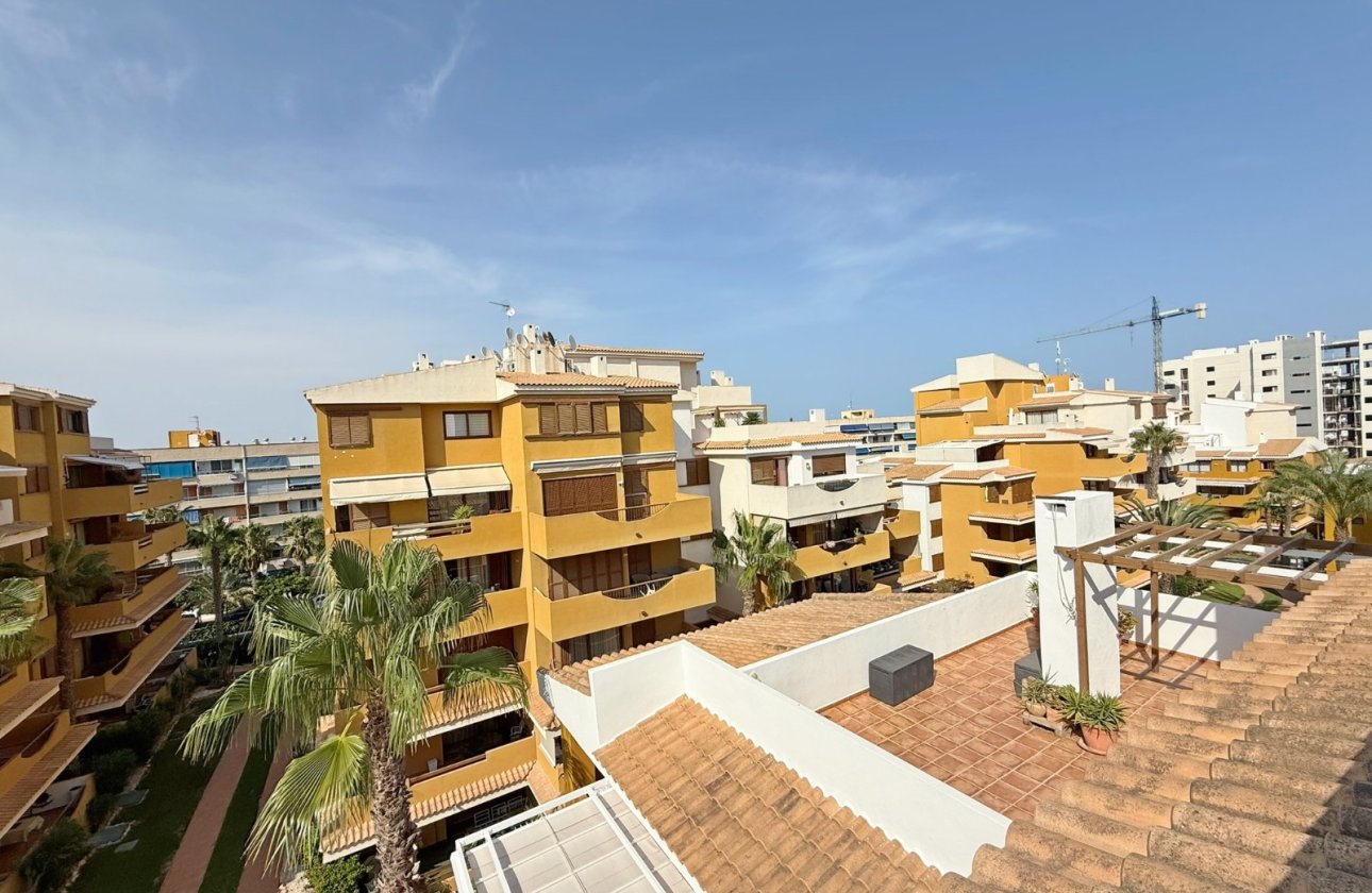 Resale - Penthouse - Torrevieja - Punta Prima