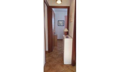 Revente - Appartement - Cabo Roig