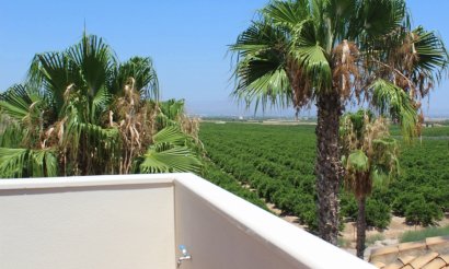 Resale - Villa - Algorfa - La Finca Golf