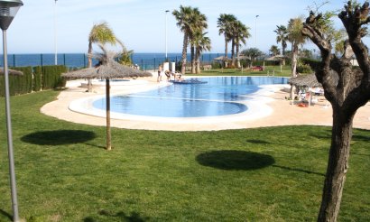 Reventa - Apartamento / piso - Pilar de la Horadada - Mil Palmeras