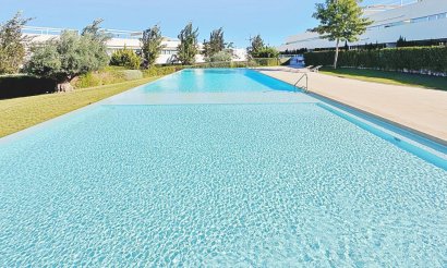 Reventa - Ático - Torrevieja - Los Balcones