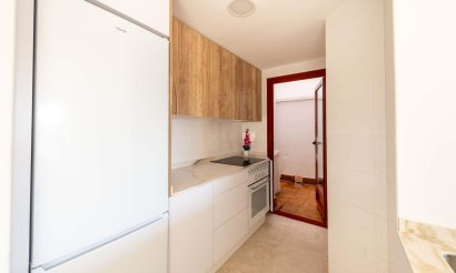 Obra nueva - Apartamento / piso - Avileses - pueblo