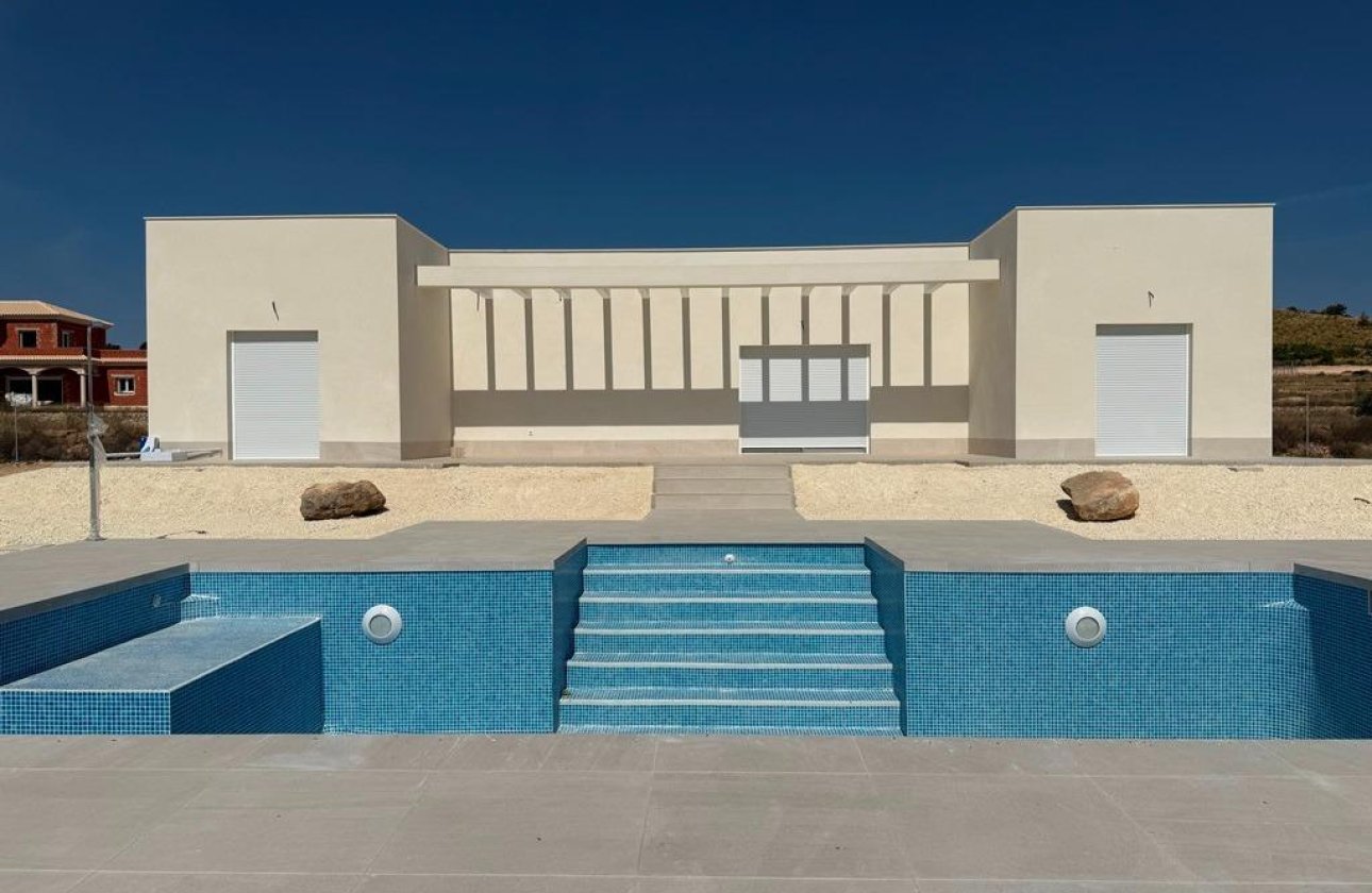 Nouvelle construction - Villa - Pinoso - Camino Del Prado