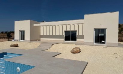 Nouvelle construction - Villa - Pinoso - Camino Del Prado
