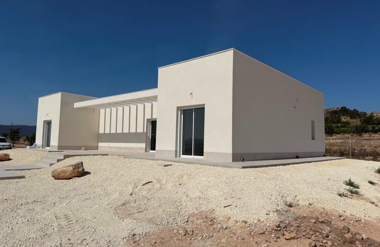 Nouvelle construction - Villa - Pinoso - Camino Del Prado
