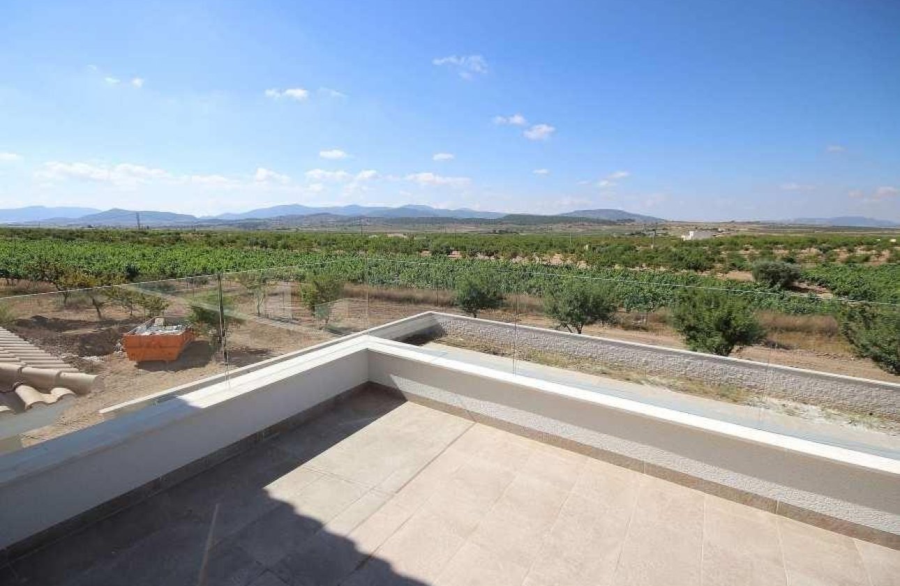 Nouvelle construction - Villa - Pinoso - Camino Del Prado