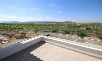 Nouvelle construction - Villa - Pinoso - Camino Del Prado