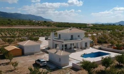 Nouvelle construction - Villa - Pinoso - Camino Del Prado