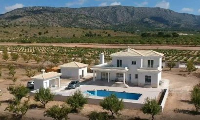 Nouvelle construction - Villa - Pinoso - Camino Del Prado