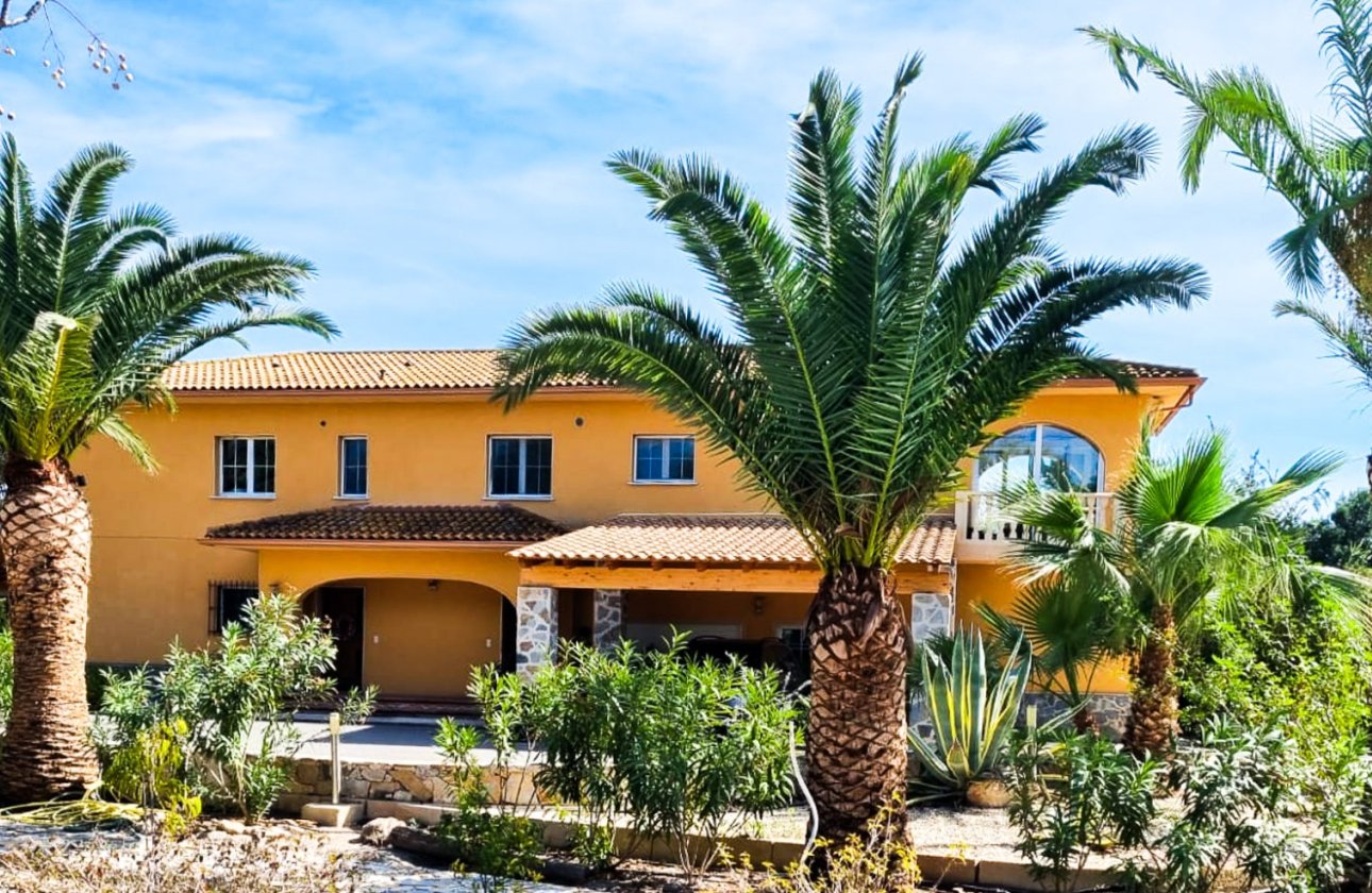 Reventa - Villa - Elche - Las Bayas