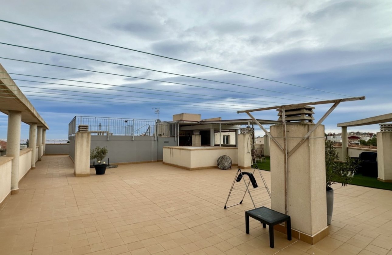 Resale - Apartment / flat - San Miguel de Salinas