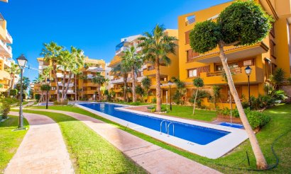  - Apartamento / piso - Punta Prima - La Recoleta