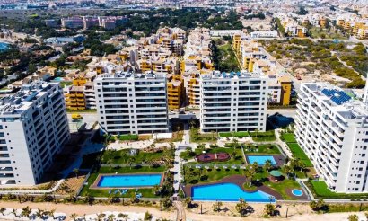  - Apartamento / piso - Punta Prima - Panorama Mar