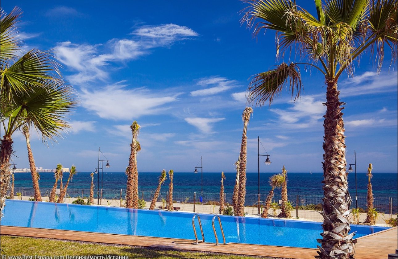  - Apartamento / piso - Punta Prima - Panorama Mar