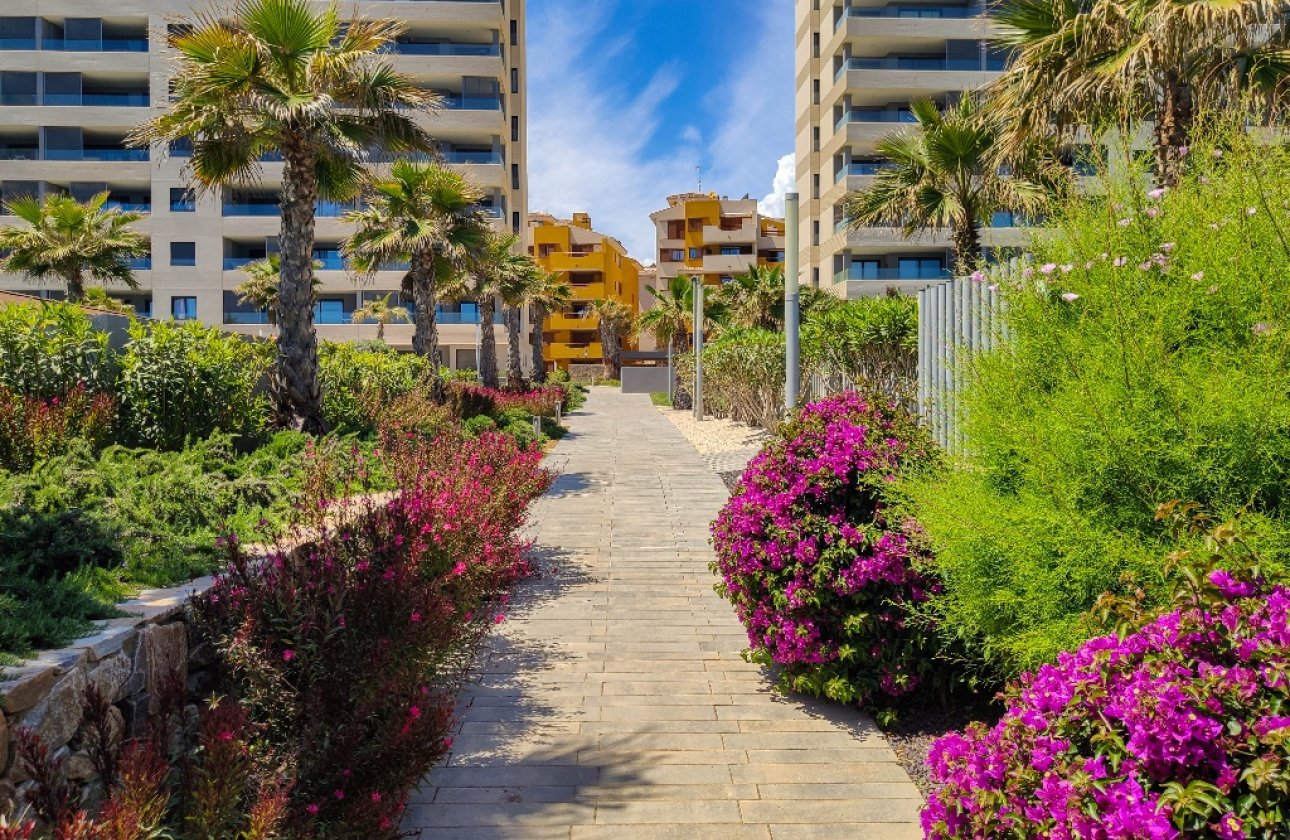  - Apartamento / piso - Punta Prima - Panorama Mar