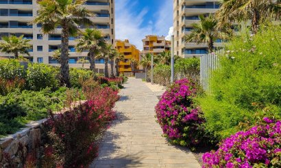  - Apartamento / piso - Punta Prima - Panorama Mar