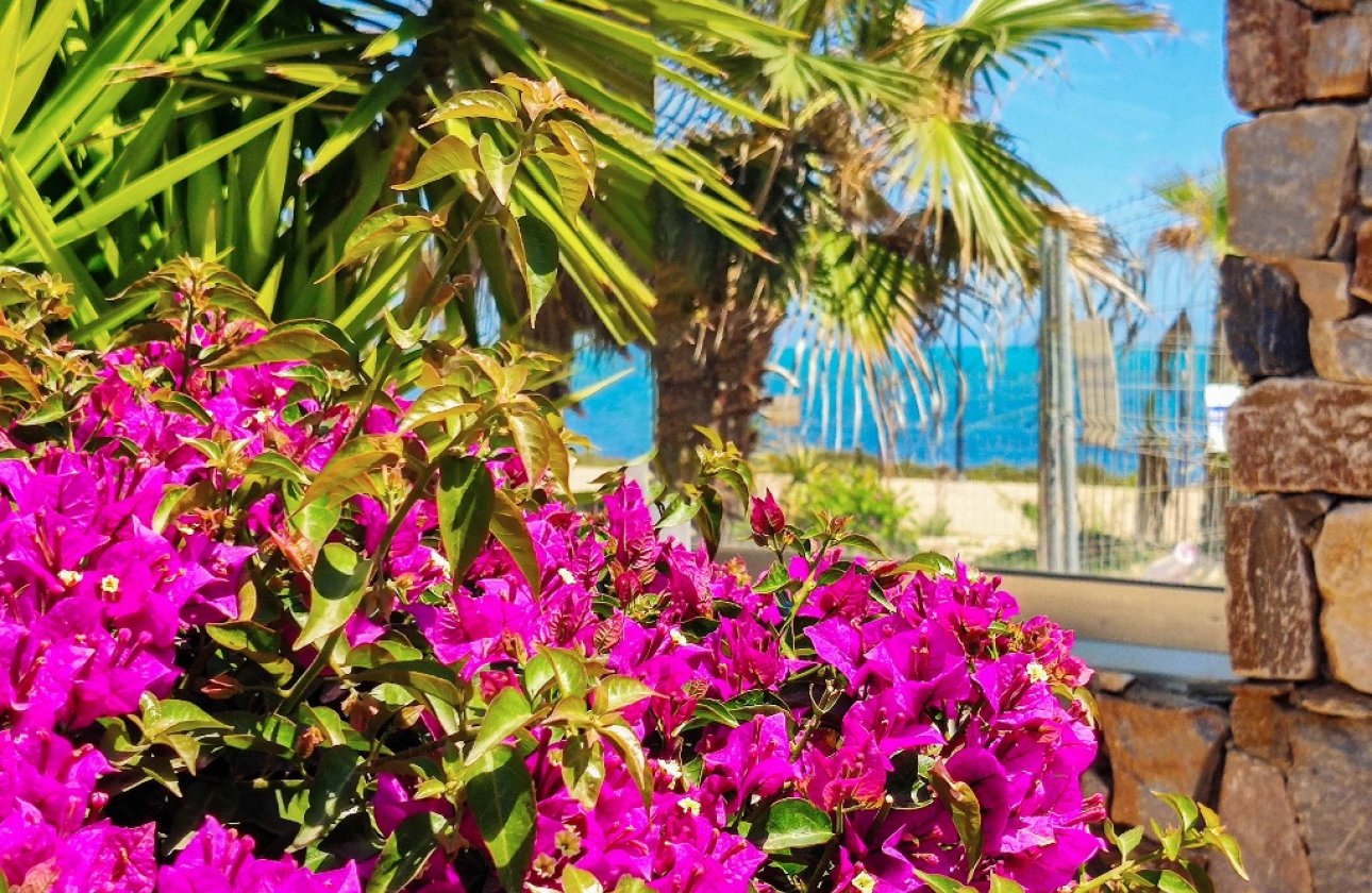  - Apartamento / piso - Punta Prima - Panorama Mar