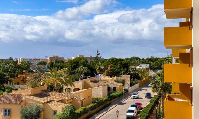  - Apartamento / piso - Punta Prima - La Recoleta