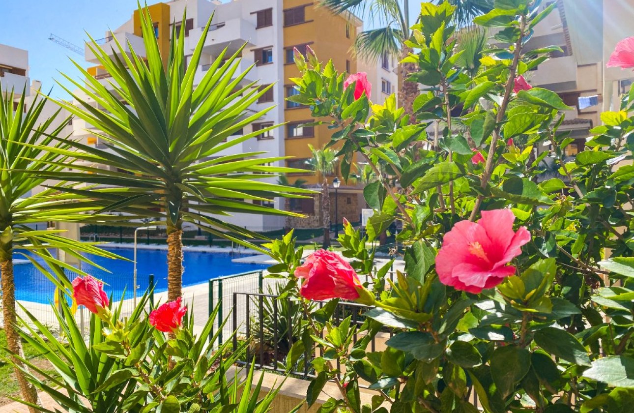  - Apartamento / piso - Punta Prima - La Recoleta