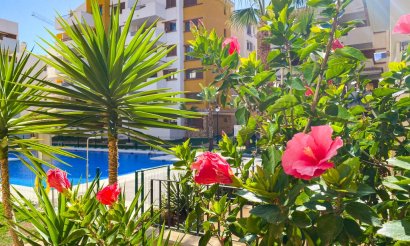  - Apartamento / piso - Punta Prima - La Recoleta