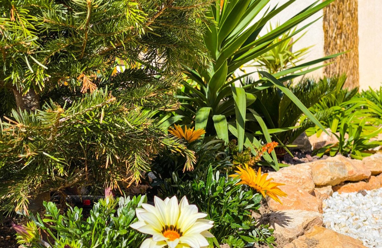  - Apartamento / piso - Punta Prima - La Recoleta