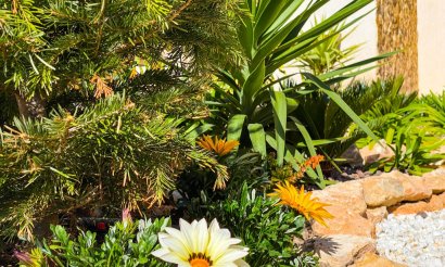  - Apartamento / piso - Punta Prima - La Recoleta