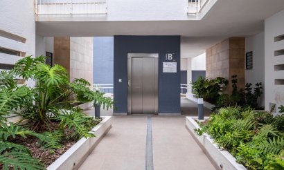 Revente - Appartement - Orihuela Costa - Playa Flamenca