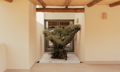 Obra nueva - Villa - Jávea - Valle del Sol